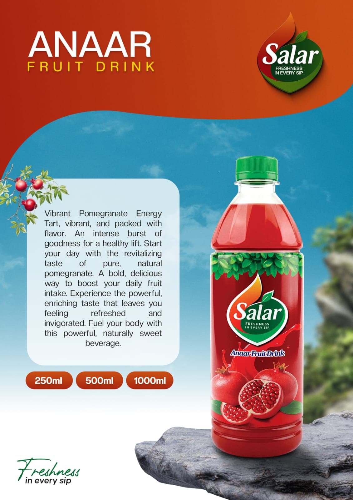 Anaar Fruit Drink